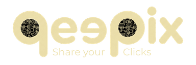 Qeepix